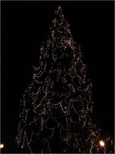 a huuuuuge christmastree in bad ragaz