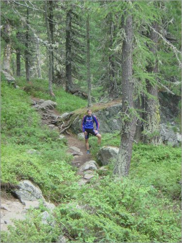 hiking through the woods...