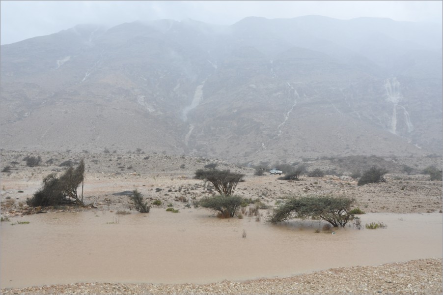 but soon it rained so much that the whole area started to flood