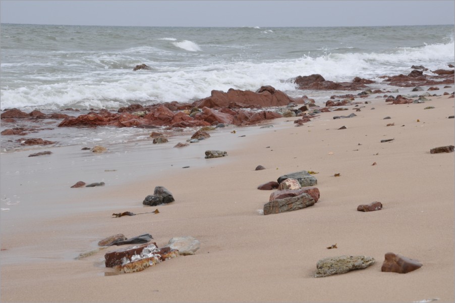 just close to al-dafah we found a beautiful white beach