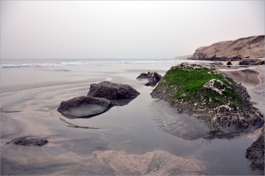 after only a few hours sleep we got up at 5am to see if we'd see any turtles in the morning... no luck again :(