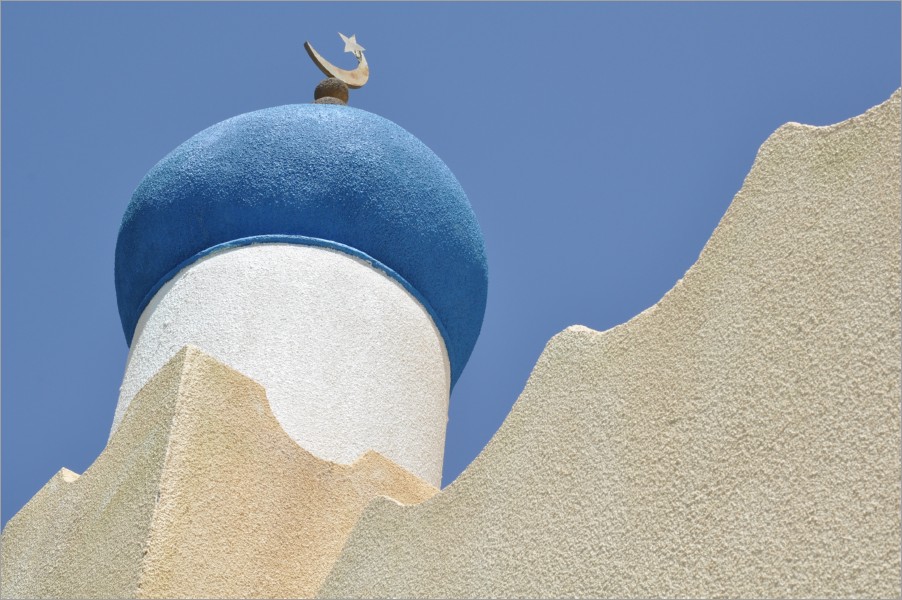 the mosque in the middle of the rose-village