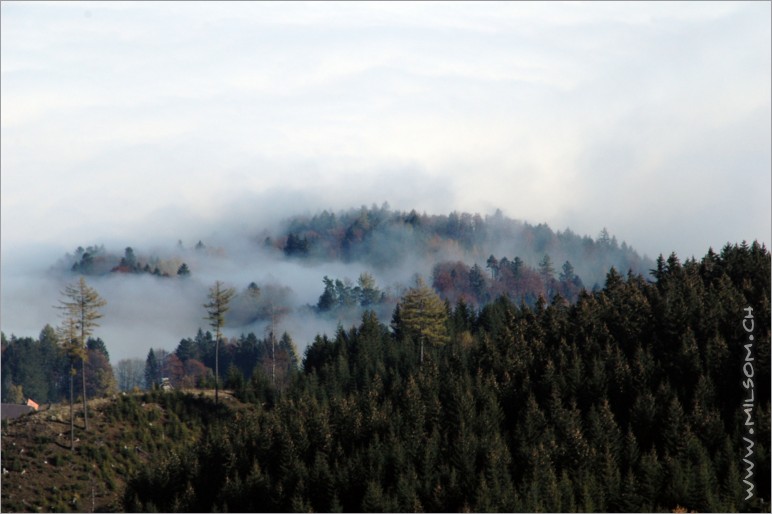 the border of the fog is above 1000m