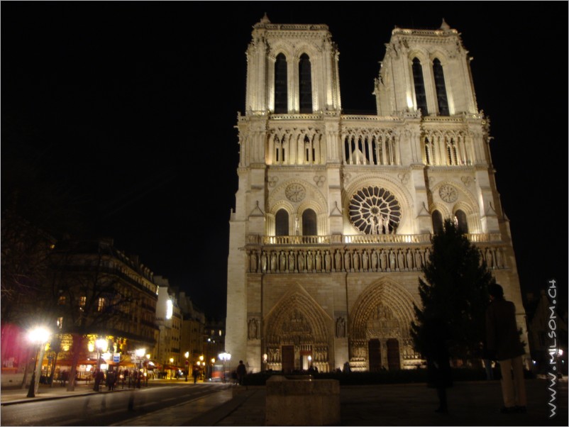 notre dame