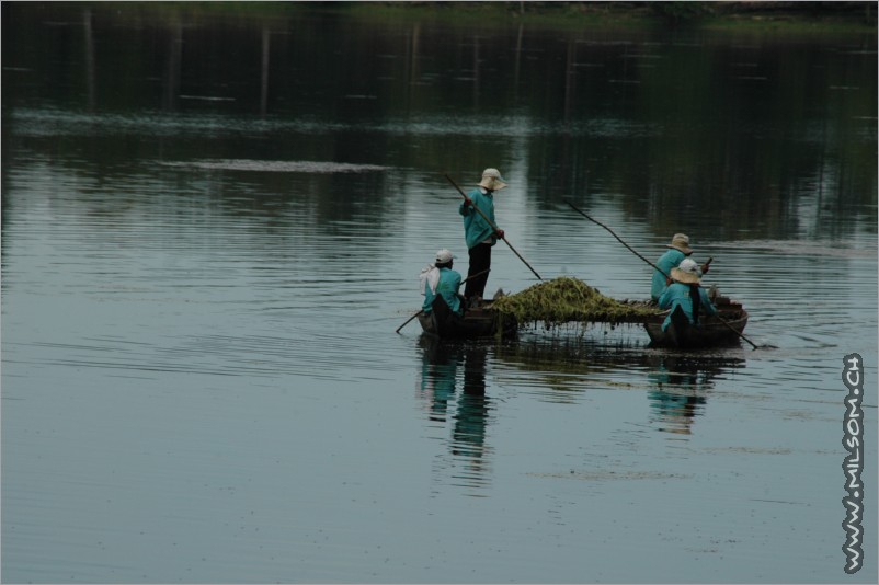 workers everywhere cleaning the country