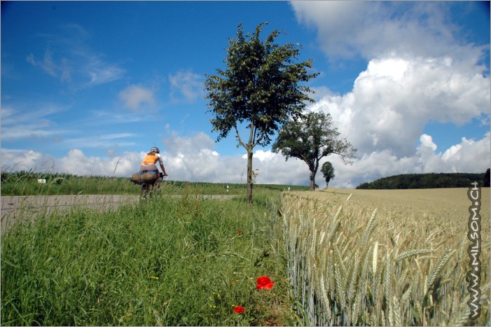 heading towards the black forest / schwarzwald