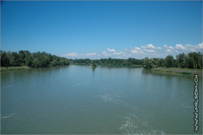 the river rhine in sasbach